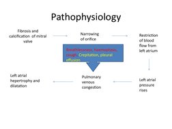 Mitral Stenosis and Regurgitation Overview | PDF | Heart | Thorax ...