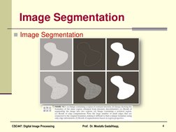 Image Segmentation 
Image Segmentation 
 
4 
CSC447: Digital Image Processing 
 
Prof.  Dr. Mostafa GadalHaqq.  
