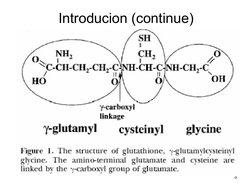 glutathione mechanism of action ppt Synthesis and Regulation | PDF | Glutathione Beauty Supplement | Meiji lab-applications Variant:3x65g