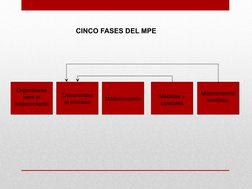 Organizarse 
para el 
mejoramiento
Comprender 
el proceso
Modernización
Medidas y 
controles
Mejoramiento 
continuo 
CINCO FA