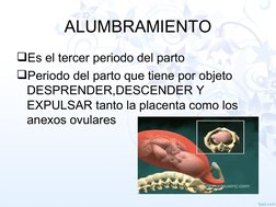 ALUMBRAMIENTO
Es el tercer periodo del parto
Periodo del parto que tiene por objeto 
DESPRENDER,DESCENDER Y 
EXPULSAR tanto