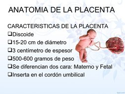 ANATOMIA DE LA PLACENTA
CARACTERISTICAS DE LA PLACENTA
Discoide
15-20 cm de diámetro
3 centímetro de espesor
500-600 gram