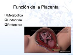 Función de la Placenta 
Metabólica
Endocrina
Protectora 

