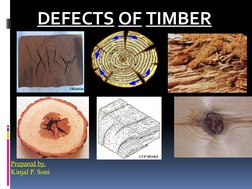 Timber Defects: Natural vs. Artificial | PDF | Wood | Lumber