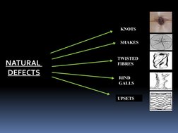 Timber Defects: Natural vs. Artificial | PDF | Wood | Lumber