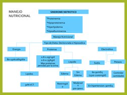 SINDROME NEFROTICO
•Proteinemia
•Hipoproteinemia
•Hiperlipidemia
•Hipoalbuminemia
Manejo Nutricional
Tipo de Dieta: Declorura