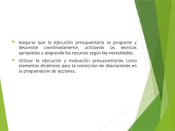 Asegurar que la ejecución presupuestaria se programe y 
desarrolle 
coordinadamente, 
utilizando 
las 
técnicas 
apropiadas