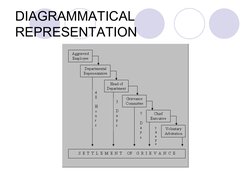  
 
DIAGRAMMATICAL 
REPRESENTATION
