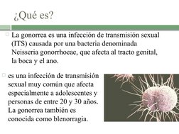 ¿Qué es?
La gonorrea es una infección de transmisión sexual 
(ITS) causada por una bacteria denominada 
Neisseria gonorrhoea