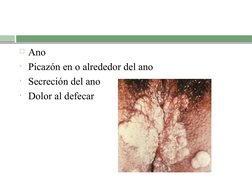 Ano 
• Picazón en o alrededor del ano
• Secreción del ano
• Dolor al defecar
