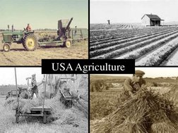 USA Agriculture 
