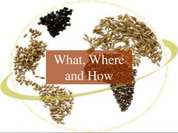 What, Where 
and How 
