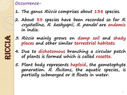 Occurrence-
1. The genus Riccia comprises about 138 species.
2. About 33 species have been recorded so far R.
crystallina, R.