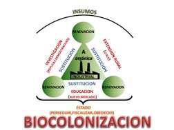 A
orgánica
INDUSTRIAL
RENOVACION
RENOVACION
RENOVACIONSUSTITUCIONSUSTITUCION
SUSTITUCIONINSUMOSEXTENSION RURAL(O.N.G)INVESTIG