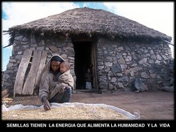 SEMILLAS TIENEN  LA ENERGIA QUE ALIMENTA LA HUMANIDAD  Y LA  VIDA
