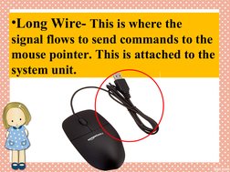 Parts and Functions of a Computer Mouse | PDF | Software | Input/Output