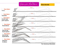 •
Trazo básicoInicios.
Inicios.
•
Trazo básico
Transición.
•
Trazo básico
Cola de cejas
parte superior.
•
Trazo básico
Cola d