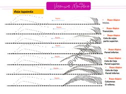 Repite
Repite
Repite
Repite
Repite
Repite
Ceja izquierda
•
Trazo básicoInicios.
Inicios.
•
Trazo básico
Transición.
•
Trazo b