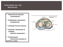 FUNCIONES DE LOS 
MENISCOS 
Absorción de impactos
          (viscoelastico)
Estabilizador articulación
          (congruenc