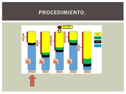 PROCEDIMIENTO. 
