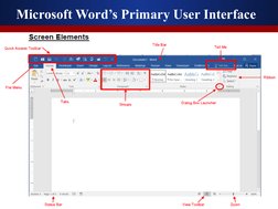 Microsoft Word’s Primary User Interface 
