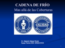 1
CADENA DE FRÍO
Sr : Alejandro Salazar Román
Equipo Técnico ESNI  DIRESA-HVCA
Mas allá de las Coberturas
