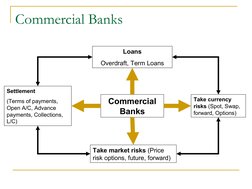 Commercial Banks
Loans
Overdraft, Term Loans
Take currency 
risks (Spot, Swap, 
forward, Options)
Take market risks (Price 
r