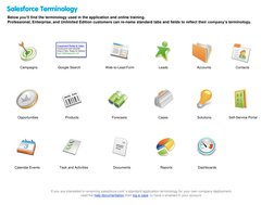 Contacts Salesforce Terminology
Below you’ll find the terminology used in the application and online training.  
Professional