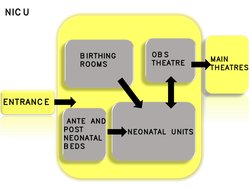 NICUMAIN 
MAIN THEATRES
THEATRESBIRTHING 
BIRTHING ROOMS
ROOMSOBS 
OBS THEATRE 
THEATRE ANTE AND 
ANTE AND POST 
POST NEONATA