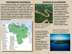 Los monumentos naturales son las regiones, los objetos 
o las especie vivas de animales o plantas de interés 
estéticos o val