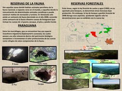 RESERVAS DE LA FAUNA 
Son aquellas zonas donde habiten animales peculiares de la 
fauna nacional, o especies raras en el mund