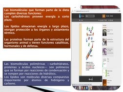 Las biomoléculas poliméricas —carbohidratos, 
proteínas y ácidos nucleicos— son polímeros 
que se forman por reacciones de co