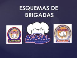 { ESQUEMAS DE  BRIGADAS 
ESQUEMAS DE  
BRIGADAS 

