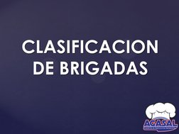 CLASIFICACION 
DE BRIGADAS 
