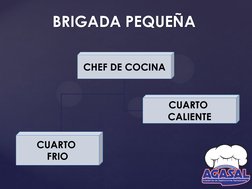 CHEF DE COCINA 
CUARTO  
CALIENTE 
CUARTO  
FRIO BRIGADA PEQUEÑA 
BRIGADA PEQUEÑA 
