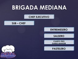 BRIGADA MEDIANA
CHEF EJECUTIVO 
ENTREMESERO 
SALSERO 
CUARTO FRIO 
GARDE MANGER 
PASTELERO 
SUB – CHEF  
