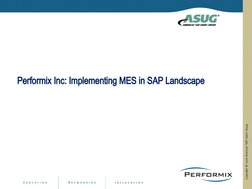 Performix Inc: Implementing MES in SAP Landscape
