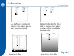Fundamentos
7.2.Principio Teórico
Figura 5
