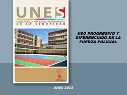 USO PROGRESIVO Y 
DIFERENCIADO DE LA 
FUERZA POLICIAL
UNES 2013
