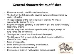 Key Characteristics of Fish | PDF | Aquaculture | Fish