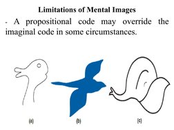 Limitations of Mental Images
- A propositional code may override the 
imaginal code in some circumstances.

