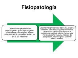 Fisiopatología
Las enzimas proteolíticas 
(tripsinógeno, quimotripsinógeno, 
proelastasa y fosfolipasa A) son 
activadas en e