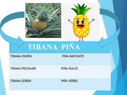                   TIBANA PIÑA 
TIBANA OSHEKI
 PIÑA BASTANTE 
TIBANA POCHAARI
PIÑA DULCE
TIBANA EEREKI 
PIÑA VERDE
