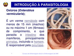 Cursos de Enfermagem Geral e Enfermagem de SMI 
6 
Oxiúros (Enterobius 
vermicularis);  
 
É um verme nemátode com 
menos de
