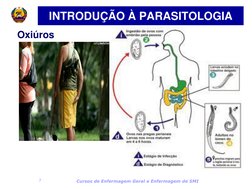 Cursos de Enfermagem Geral e Enfermagem de SMI 
7 
Oxiúros 
INTRODUÇÃO À PARASITOLOGIA 
