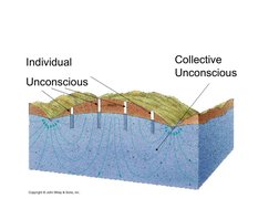  
 
Collective 
Unconscious
Individual
Unconscious

