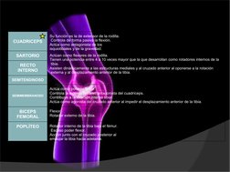 CUADRICEPS
Su función es la de extensor de la rodilla. 
 Controla de forma pasiva la flexión.
Actúa como antagonista de los