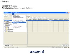 PASO 5:
Ingresar a Tools.
Abrir la opción Export and Delete.

