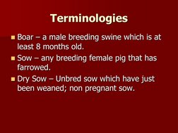 Swine Housing Systems and Requirements | PDF | Domestic Pig | Pig
