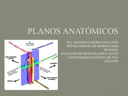 PLANOS ANATÓMICOS
MG. MAGNOLIA SIERRA DELGADO
DEPARTAMENTO DE MORFOLOGÍA 
HUMANA
FACULTAD DE MEDICINA-EDUCACIÓN 
UNIVERSIDAD